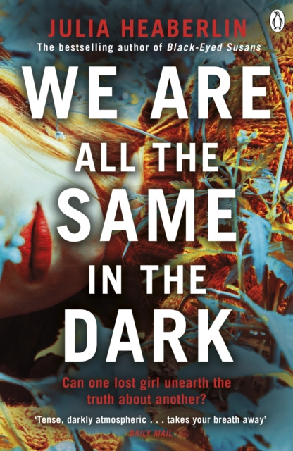 E-book We Are All the Same in the Dark Julia Heaberlin