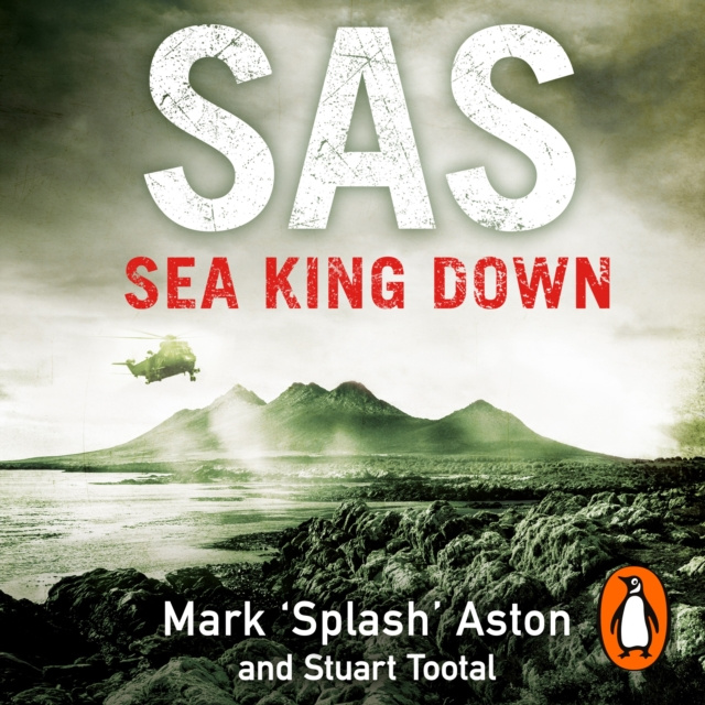 Audiokniha SAS: Sea King Down Mark Aston