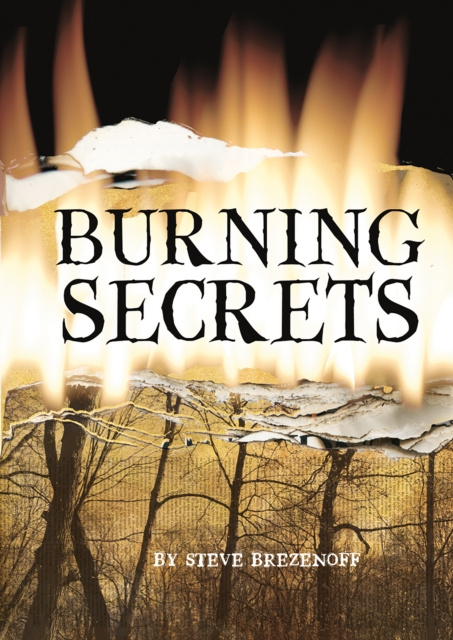 E-book Burning Secrets Steve Brezenoff
