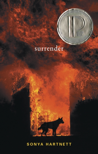 E-knjiga Surrender Sonya Hartnett