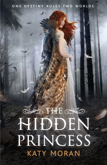 E-book Hidden Princess Katy Moran