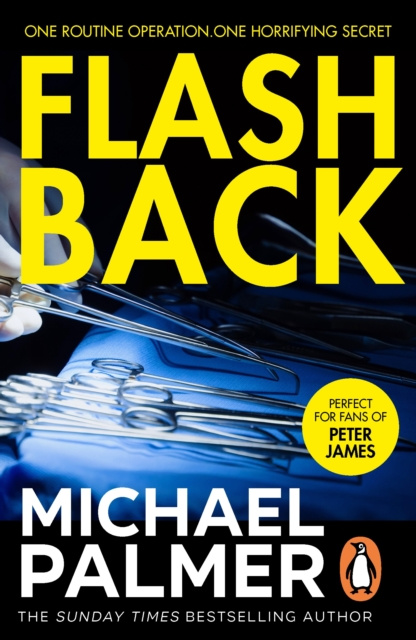 E-knjiga Flashback Michael Palmer