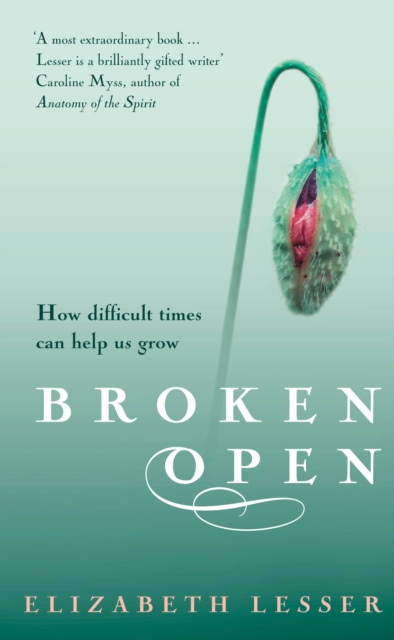 E-book Broken Open Elizabeth Lesser