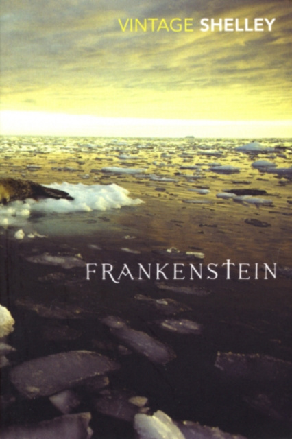 E-knjiga Frankenstein Mary Shelley