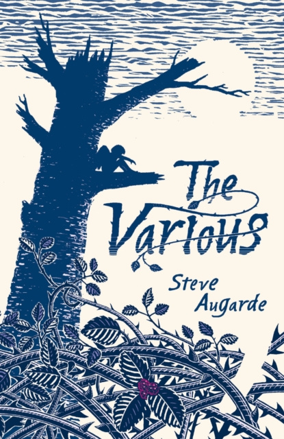 E-book Various Steve Augarde