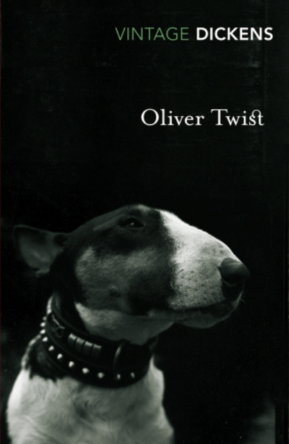 E-knjiga Oliver Twist Charles Dickens