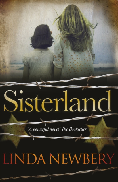 E-kniha Sisterland Linda Newbery