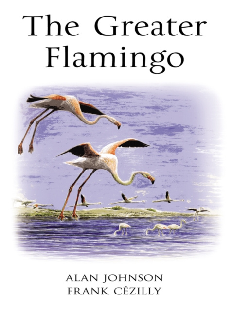 E-kniha Greater Flamingo Johnson Alan Johnson