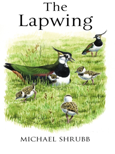 E-knjiga Lapwing Shrubb Michael Shrubb