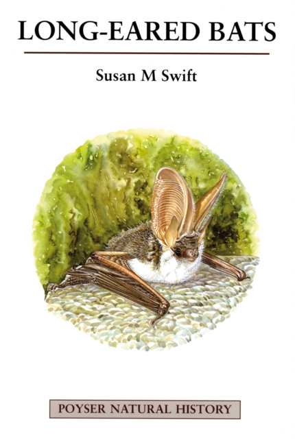 E-kniha Long-eared Bats Swift Susan M. Swift