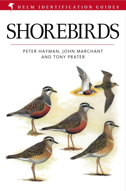 E-kniha Shorebirds Marchant John Marchant