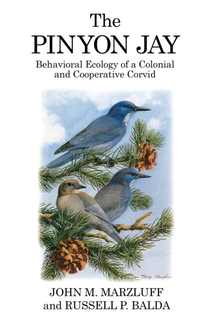 E-knjiga Pinyon Jay Marzluff John M. Marzluff