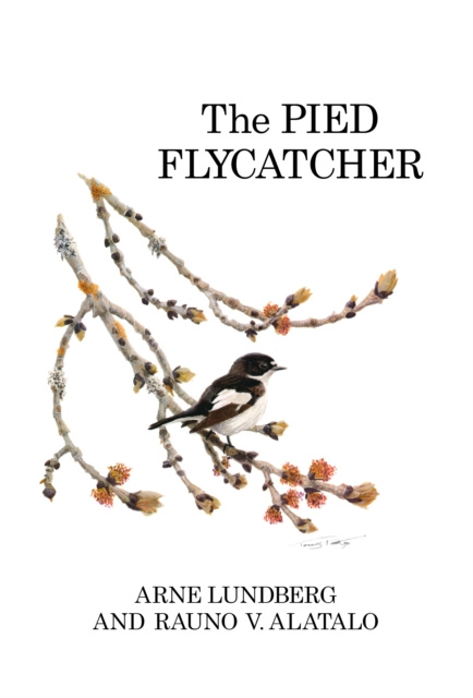 E-knjiga Pied Flycatcher Lundberg Arne Lundberg