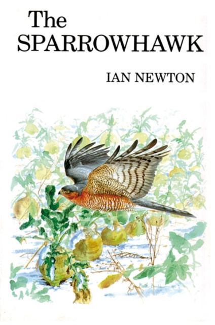 E-knjiga Sparrowhawk Newton Ian Newton