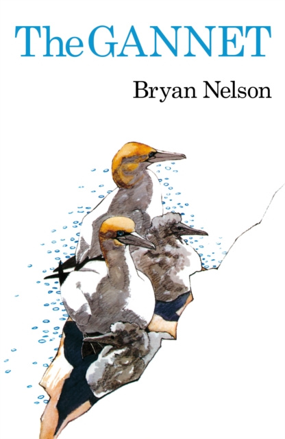 E-knjiga Gannet Nelson Bryan Nelson