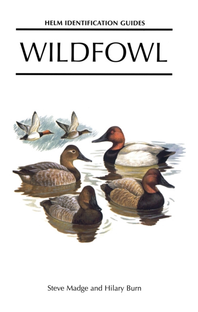 E-book Wildfowl Madge Steve Madge