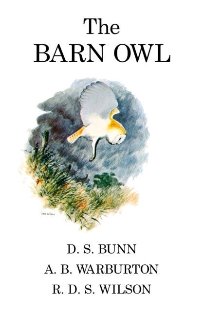 E-kniha Barn Owl Bunn D.S Bunn