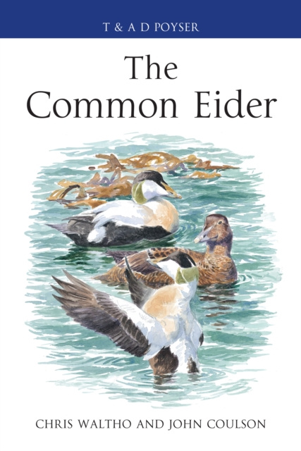 E-knjiga Common Eider Waltho Chris Waltho