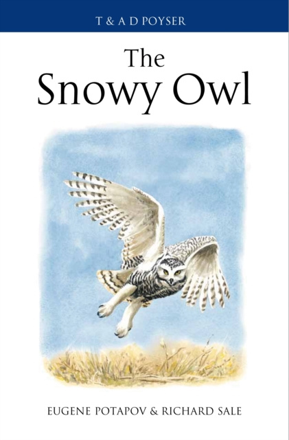 E-book Snowy Owl Potapov Eugene Potapov