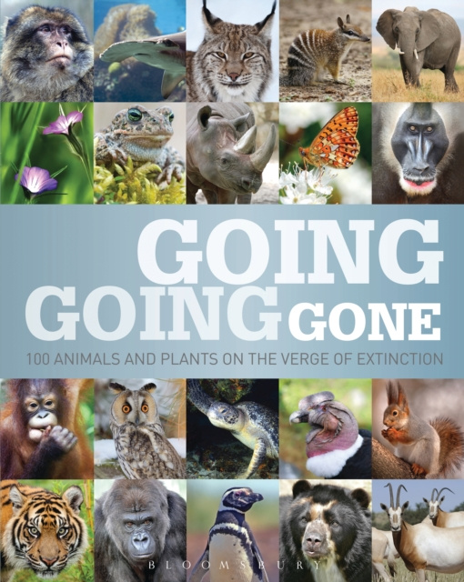 Libro electrónico Going, Going, Gone Bloomsbury Publishing Bloomsbury Publishing