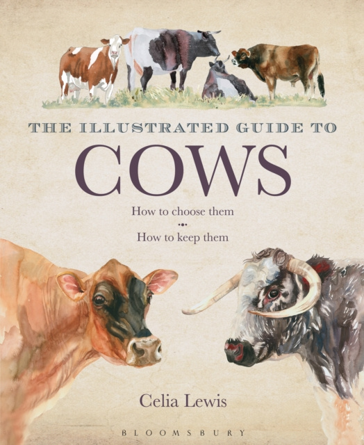 E-book Illustrated Guide to Cows Lewis Celia Lewis
