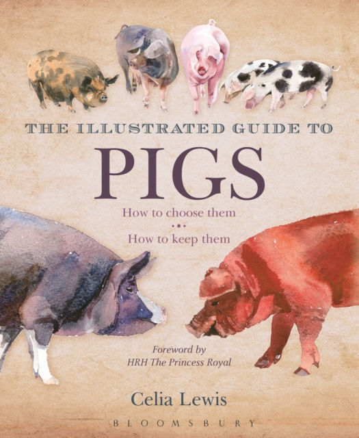 E-kniha Illustrated Guide to Pigs Lewis Celia Lewis