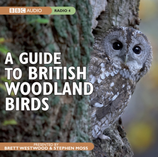 Audiokniha Guide To British Woodland Birds Stephen Moss