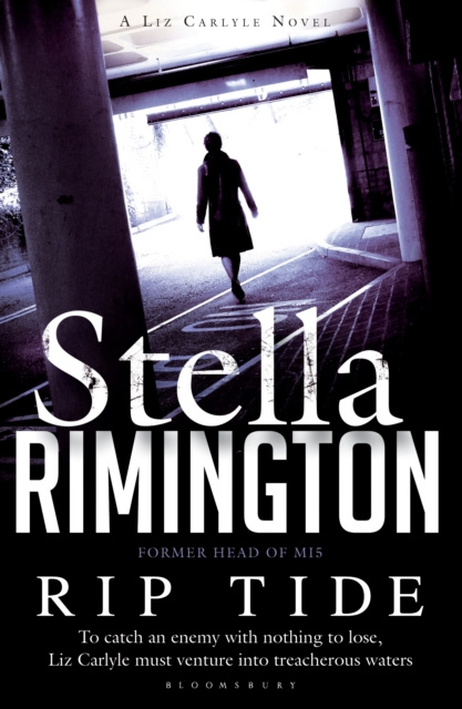 E-knjiga Rip Tide Rimington Stella Rimington