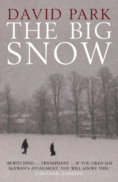 E-Book Big Snow Park David Park