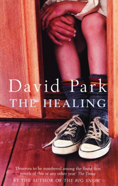 E-knjiga Healing Park David Park