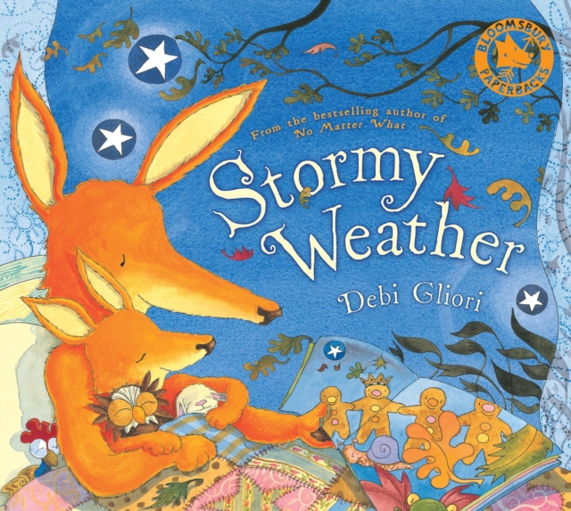 E-book Stormy Weather Gliori Debi Gliori