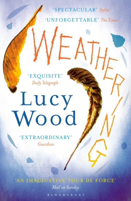 E-knjiga Weathering Wood Lucy Wood