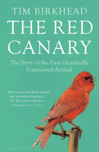 E-book Red Canary Birkhead Tim Birkhead