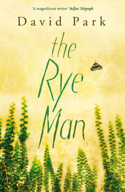 E-Book Rye Man Park David Park