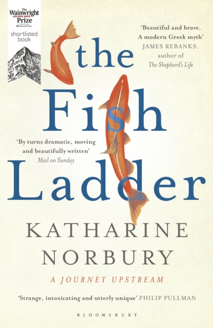 E-knjiga Fish Ladder Norbury Katharine Norbury