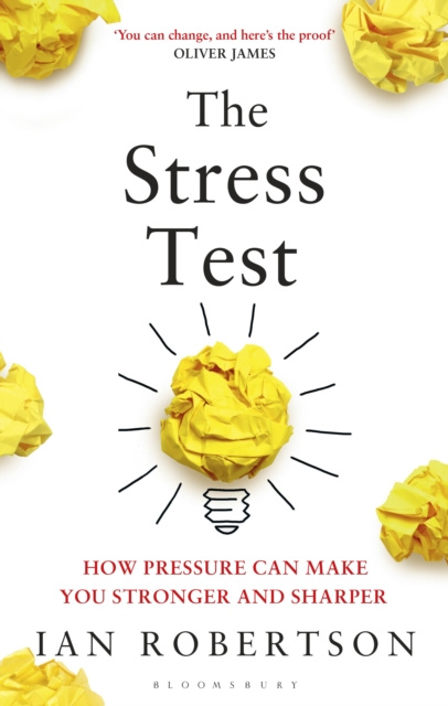 E-knjiga Stress Test Robertson Ian Robertson