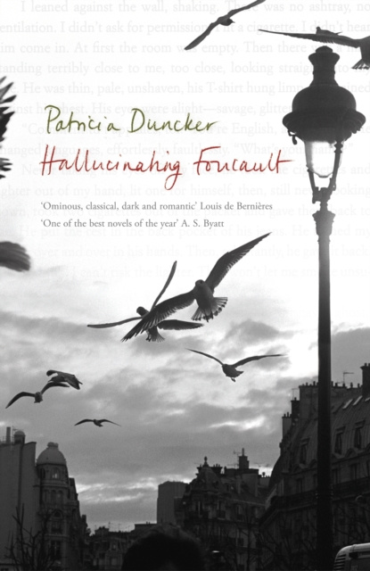 E-book Hallucinating Foucault Duncker Patricia Duncker