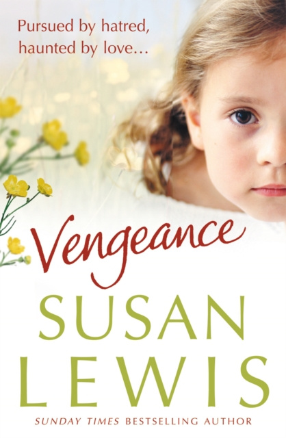 E-knjiga Vengeance Susan Lewis
