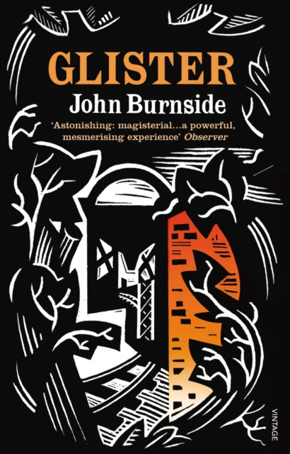 E-knjiga Glister John Burnside