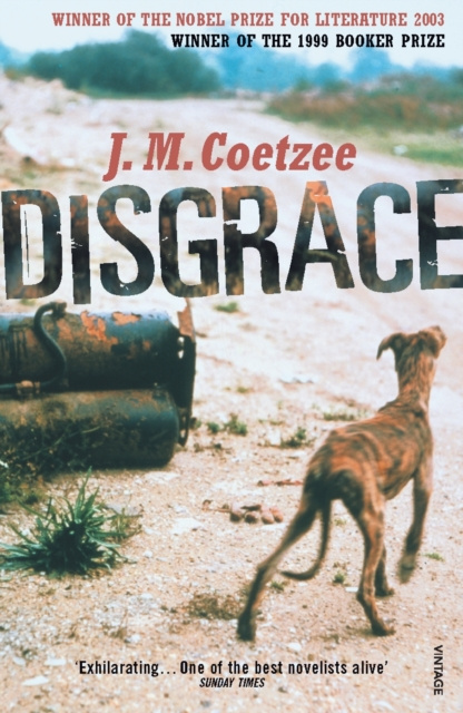 E-Book Disgrace J.M. Coetzee