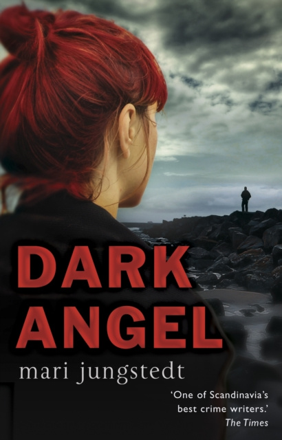 E-knjiga Dark Angel Mari Jungstedt