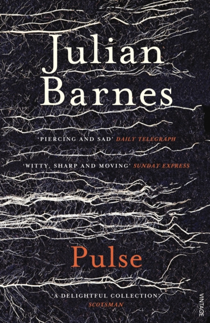 E-knjiga Pulse Julian Barnes