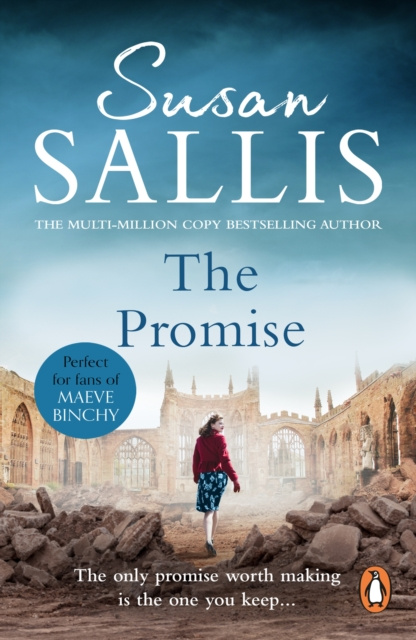 E-knjiga Promise Susan Sallis