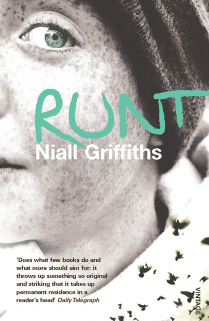 E-knjiga Runt Niall Griffiths