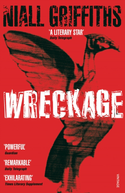 E-knjiga Wreckage Niall Griffiths