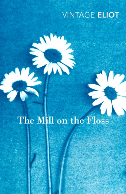 E-kniha Mill on the Floss George Eliot