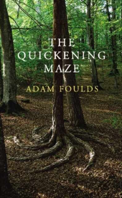 E-book Quickening Maze Adam Foulds