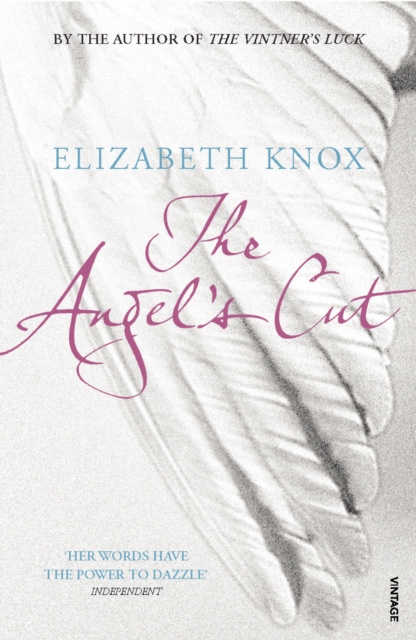 E-knjiga Angel's Cut Elizabeth Knox