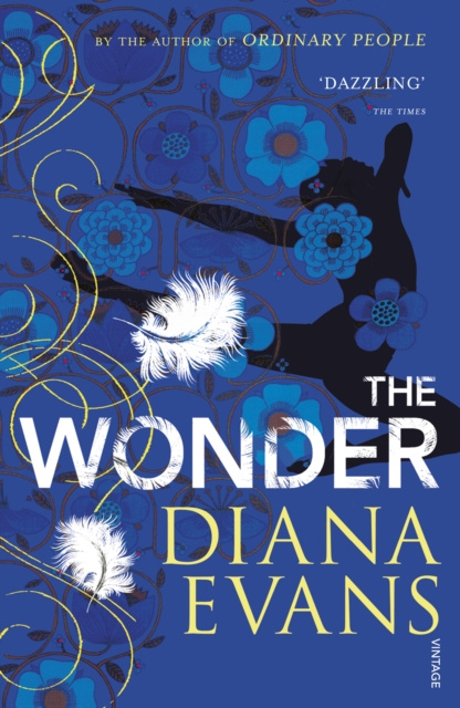 E-kniha Wonder Diana Evans