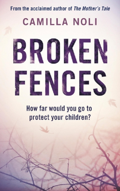 E-book Broken Fences Camilla Noli